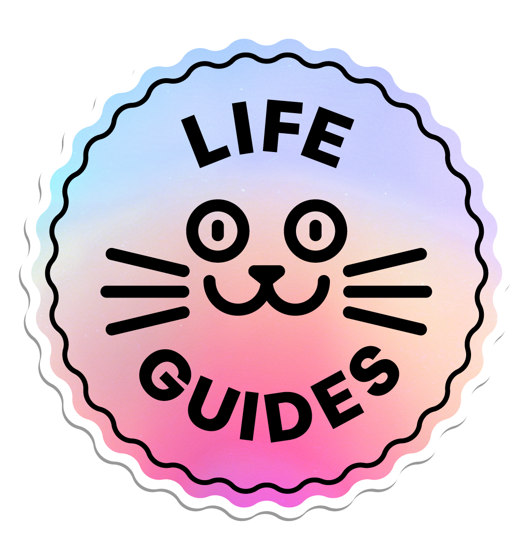 Life Guides Archives The Lick life-guides-archives-the-lick